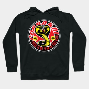 There is no fear in this dojo! Hoodie